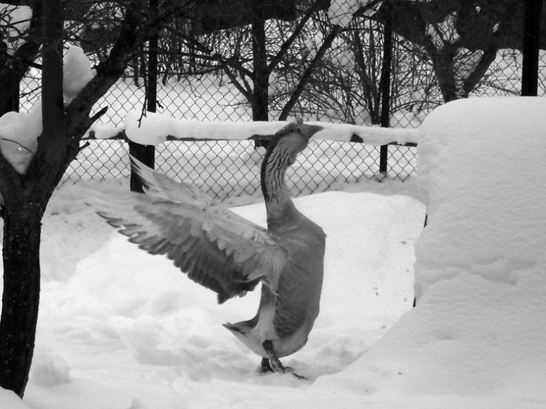 Иллюстрация к книге — Ты, главное, пиши о любви [i_023.jpg]