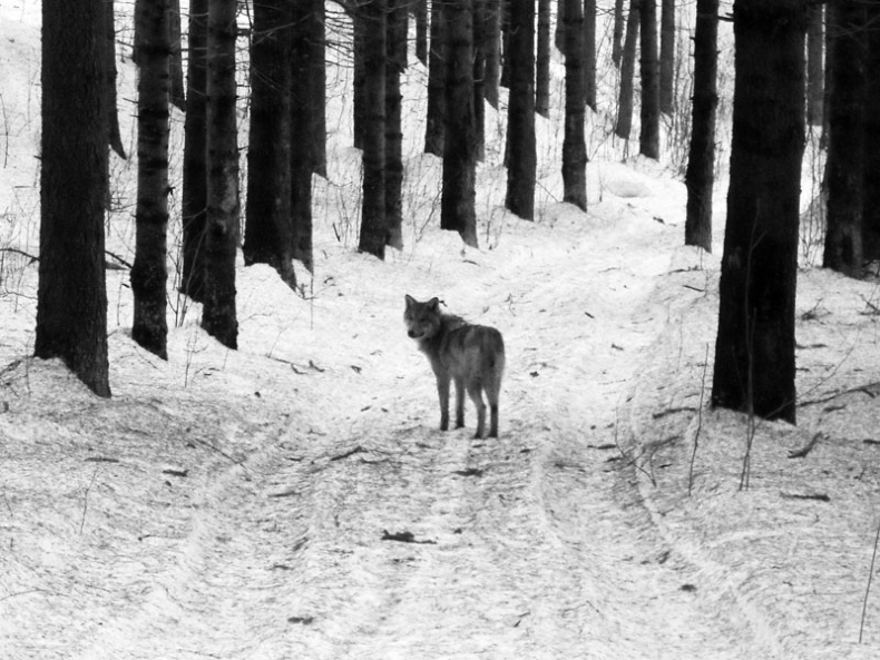 Иллюстрация к книге — Ты, главное, пиши о любви [i_025.jpg]