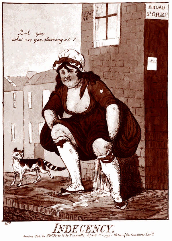 Иллюстрация к книге — Это неприлично. Руководство по сексу, манерам и премудростям замужества для викторианской леди [i_004.jpg]