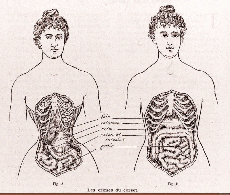 Иллюстрация к книге — Это неприлично. Руководство по сексу, манерам и премудростям замужества для викторианской леди [i_009.jpg]