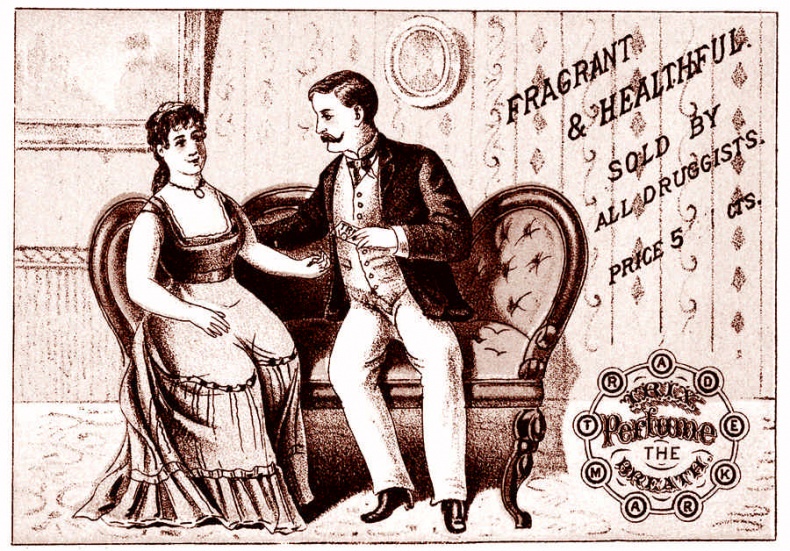 Иллюстрация к книге — Это неприлично. Руководство по сексу, манерам и премудростям замужества для викторианской леди [i_033.jpg]