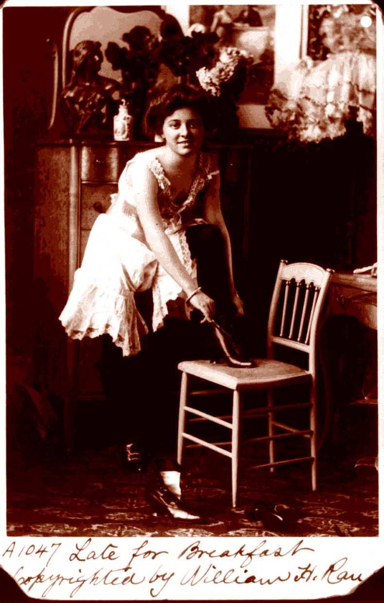 Иллюстрация к книге — Это неприлично. Руководство по сексу, манерам и премудростям замужества для викторианской леди [i_038.jpg]