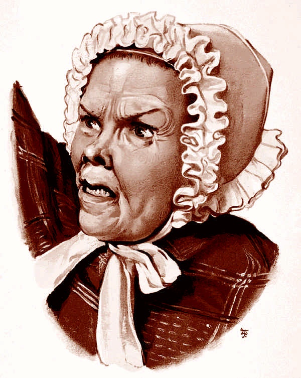 Иллюстрация к книге — Это неприлично. Руководство по сексу, манерам и премудростям замужества для викторианской леди [i_051.jpg]