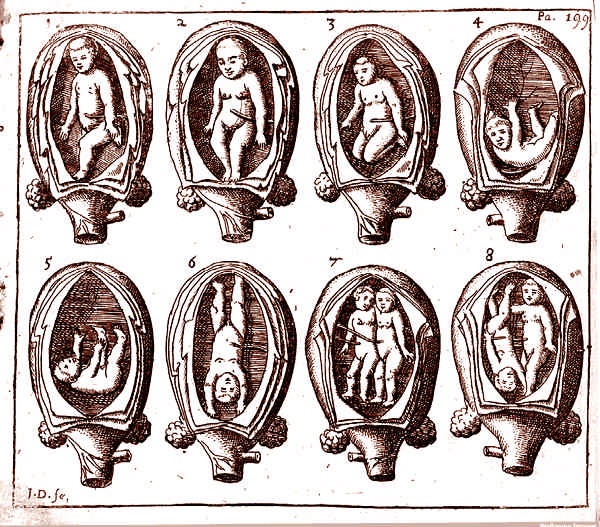 Иллюстрация к книге — Это неприлично. Руководство по сексу, манерам и премудростям замужества для викторианской леди [i_052.jpg]