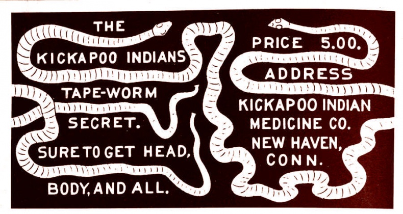 Иллюстрация к книге — Это неприлично. Руководство по сексу, манерам и премудростям замужества для викторианской леди [i_060.jpg]