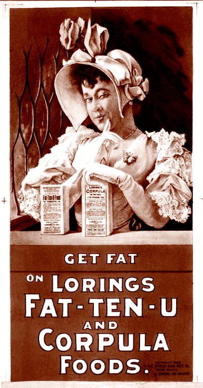 Иллюстрация к книге — Это неприлично. Руководство по сексу, манерам и премудростям замужества для викторианской леди [i_061.jpg]