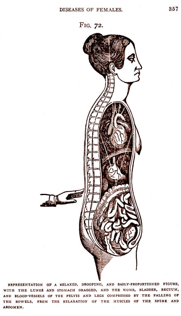 Иллюстрация к книге — Это неприлично. Руководство по сексу, манерам и премудростям замужества для викторианской леди [i_069.jpg]