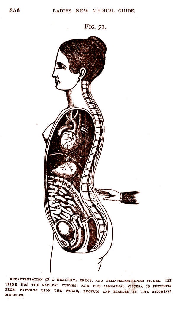 Иллюстрация к книге — Это неприлично. Руководство по сексу, манерам и премудростям замужества для викторианской леди [i_070.jpg]