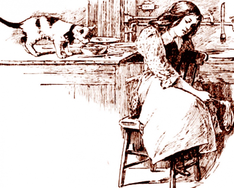 Иллюстрация к книге — Это неприлично. Руководство по сексу, манерам и премудростям замужества для викторианской леди [i_091.jpg]