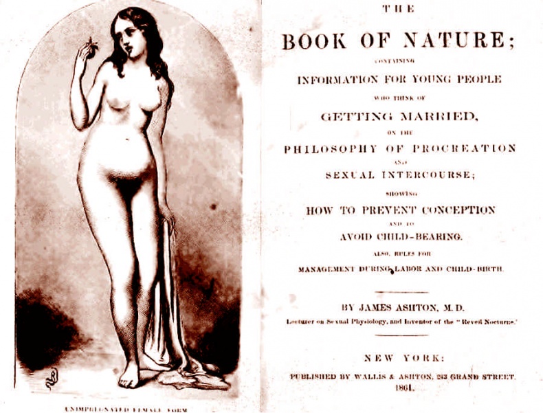 Иллюстрация к книге — Это неприлично. Руководство по сексу, манерам и премудростям замужества для викторианской леди [i_120.jpg]