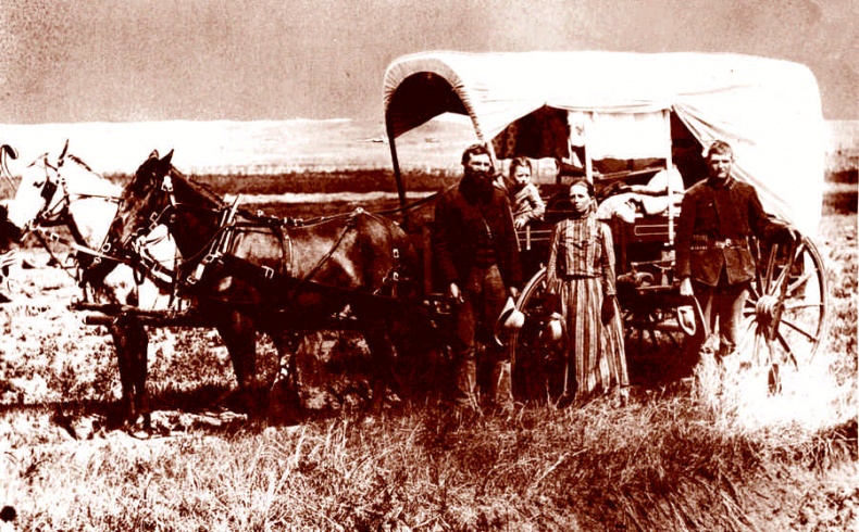 Иллюстрация к книге — Это неприлично. Руководство по сексу, манерам и премудростям замужества для викторианской леди [i_133.jpg]