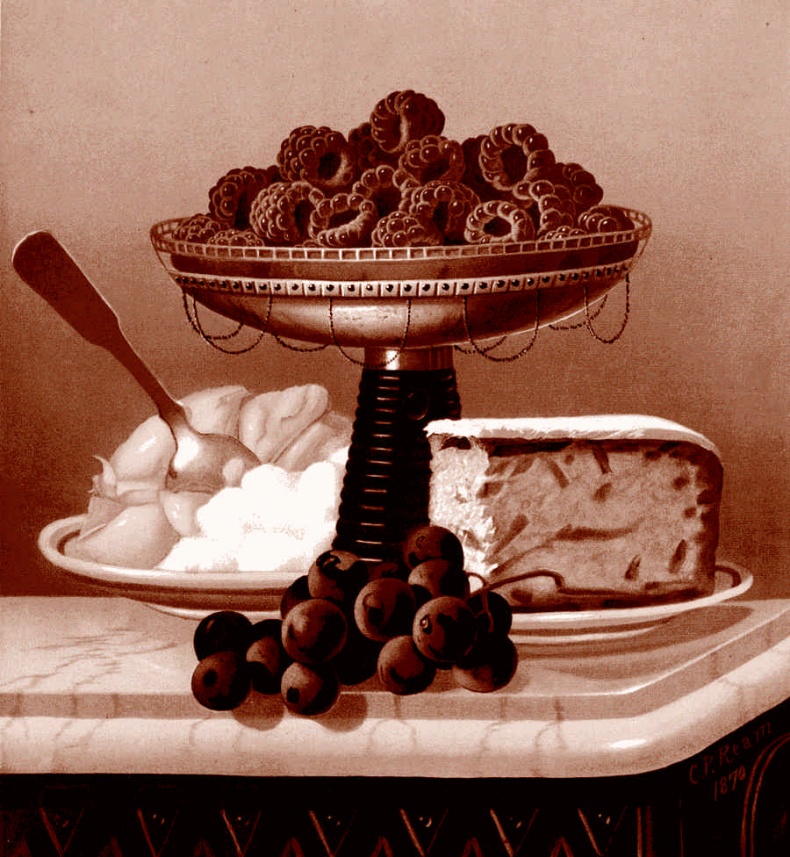 Иллюстрация к книге — Это неприлично. Руководство по сексу, манерам и премудростям замужества для викторианской леди [i_157.jpg]