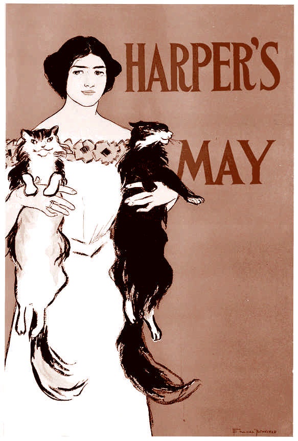 Иллюстрация к книге — Это неприлично. Руководство по сексу, манерам и премудростям замужества для викторианской леди [i_159.jpg]