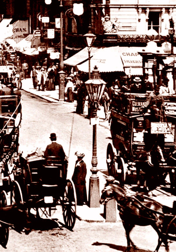 Иллюстрация к книге — Это неприлично. Руководство по сексу, манерам и премудростям замужества для викторианской леди [i_165.jpg]