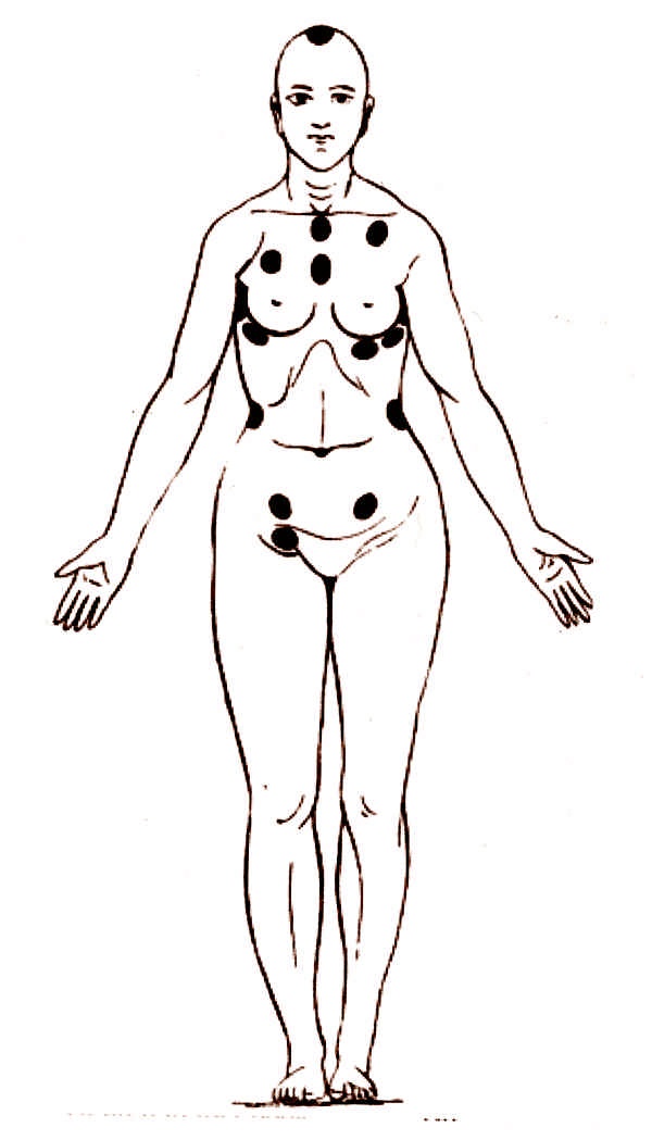 Иллюстрация к книге — Это неприлично. Руководство по сексу, манерам и премудростям замужества для викторианской леди [i_184.jpg]