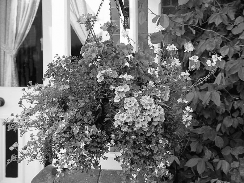 Иллюстрация к книге — 5 O'clock и другие традиции Англии [i_003.jpg]