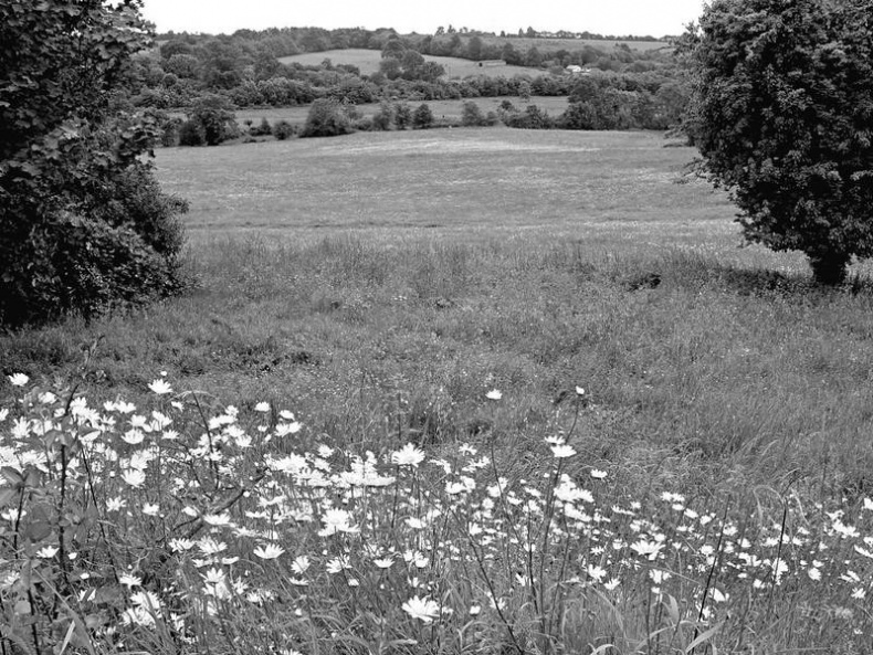 Иллюстрация к книге — 5 O'clock и другие традиции Англии [i_007.jpg]