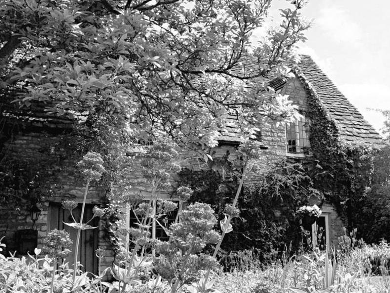 Иллюстрация к книге — 5 O'clock и другие традиции Англии [i_012.jpg]