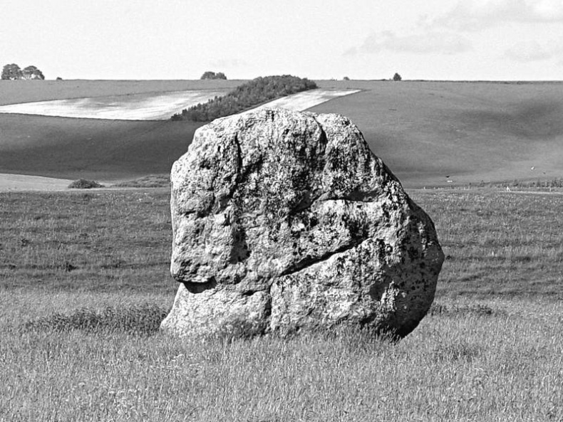 Иллюстрация к книге — 5 O'clock и другие традиции Англии [i_013.jpg]