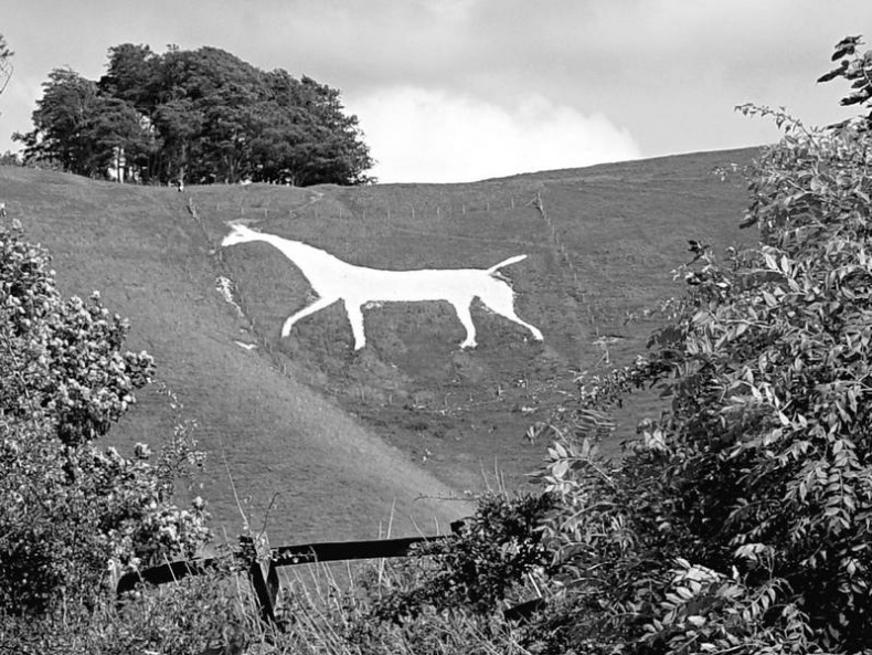 Иллюстрация к книге — 5 O'clock и другие традиции Англии [i_014.jpg]