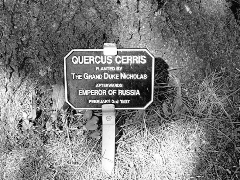 Иллюстрация к книге — 5 O'clock и другие традиции Англии [i_029.jpg]