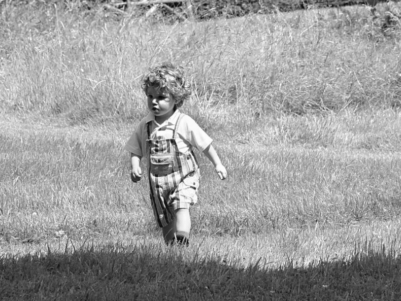 Иллюстрация к книге — 5 O'clock и другие традиции Англии [i_040.jpg]