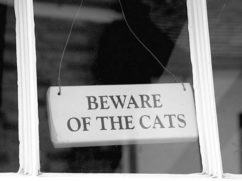 Иллюстрация к книге — 5 O'clock и другие традиции Англии [i_079.jpg]