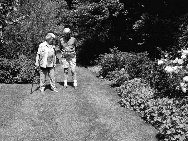 Иллюстрация к книге — 5 O'clock и другие традиции Англии [i_084.jpg]