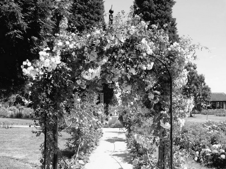 Иллюстрация к книге — 5 O'clock и другие традиции Англии [i_086.jpg]