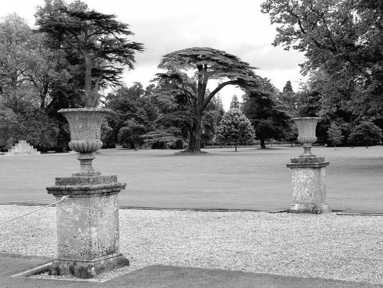 Иллюстрация к книге — 5 O'clock и другие традиции Англии [i_088.jpg]