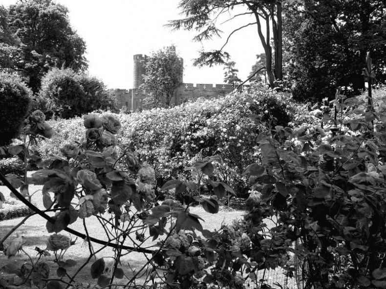 Иллюстрация к книге — 5 O'clock и другие традиции Англии [i_098.jpg]