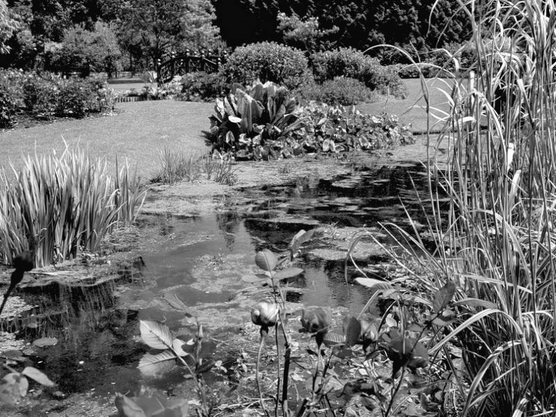 Иллюстрация к книге — 5 O'clock и другие традиции Англии [i_099.jpg]