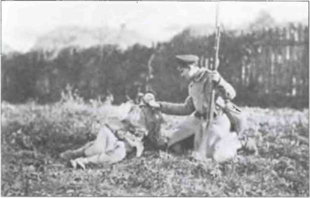 Иллюстрация к книге — Неизвестные трагедии Первой мировой. Пленные. Дезертиры. Беженцы [i_015.jpg]