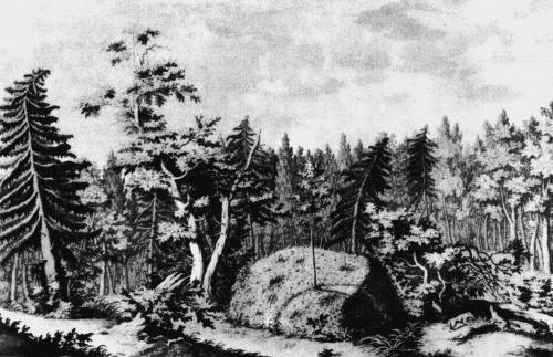 Иллюстрация к книге — Мегалиты Русской равнины [i_006.jpg]