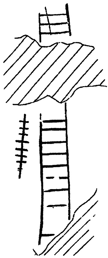 Иллюстрация к книге — Мегалиты Русской равнины [i_025.jpg]