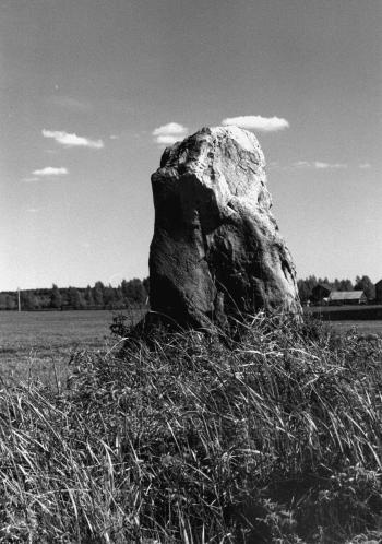 Иллюстрация к книге — Мегалиты Русской равнины [i_038.jpg]