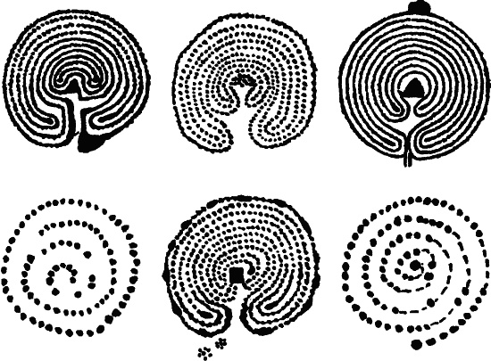 Иллюстрация к книге — Мегалиты Русской равнины [i_048.jpg]