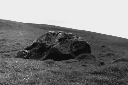 Иллюстрация к книге — Мегалиты Русской равнины [i_061.jpg]