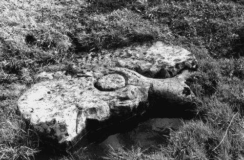 Иллюстрация к книге — Мегалиты Русской равнины [i_065.jpg]