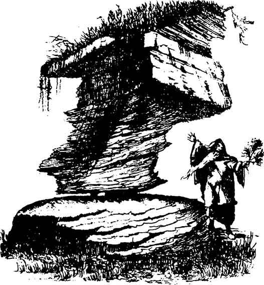 Иллюстрация к книге — Друиды. Поэты, ученые, прорицатели [pic_36.jpg]