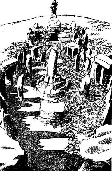 Иллюстрация к книге — Друиды. Поэты, ученые, прорицатели [pic_37.jpg]