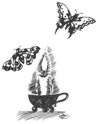 Иллюстрация к книге — Три карты усатой княгини [i_004.jpg]