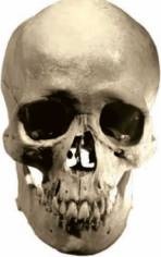 Иллюстрация к книге — Пираты. Всемирная энциклопедия [i_087.jpg]