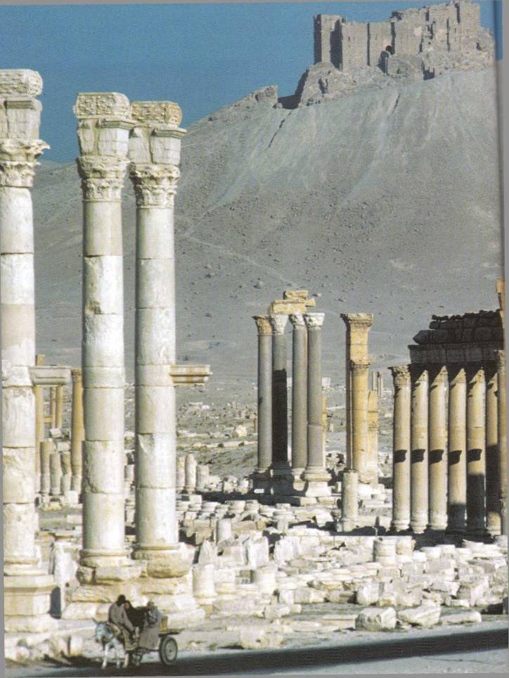 Иллюстрация к книге — Рим и его враги. Карфагеняне, греки и варвары [doc2fb_image_02000091.jpg]