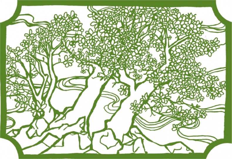 Иллюстрация к книге — Где гора говорит с луной [i_041.jpg]