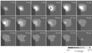 Иллюстрация к книге — Один день из жизни мозга. Нейробиология сознания от рассвета до заката [_1.jpg]