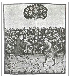 Иллюстрация к книге — Средневековая Франция [pic_73.jpg]