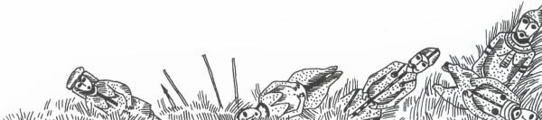 Иллюстрация к книге — Половцы [i_018.jpg]