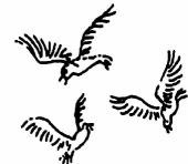 Иллюстрация к книге — Половцы [i_026.jpg]