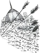 Иллюстрация к книге — Половцы [i_027.jpg]